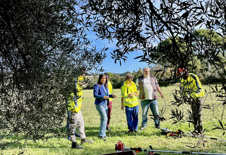 L’huile d’olive 13 Habitat en préparation à Château-Gombert !