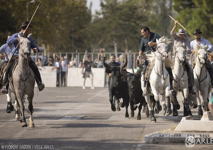 A Barriol, nos locataires ont pris les toros par les cornes !